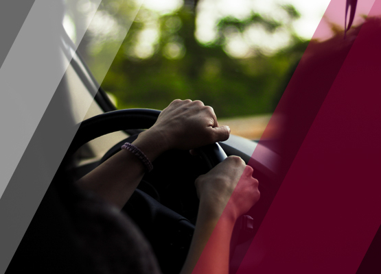 Professional Drivers Services